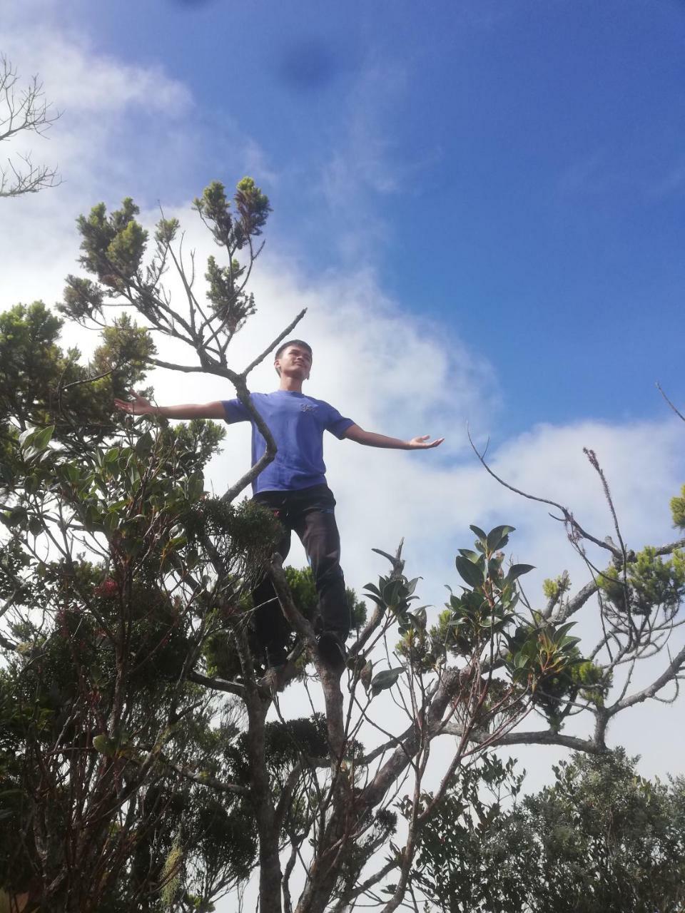 Strawberry Rest House Mesilou Kundasang Ngoại thất bức ảnh